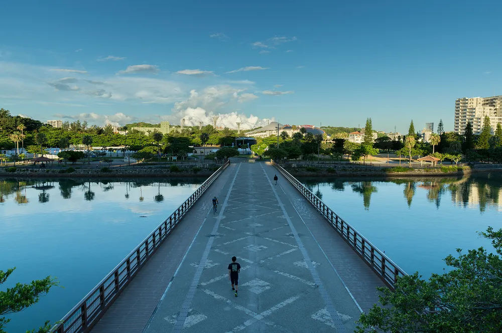 奥武山公園 ワイズエステムコート旭橋駅ザ・ウェスト