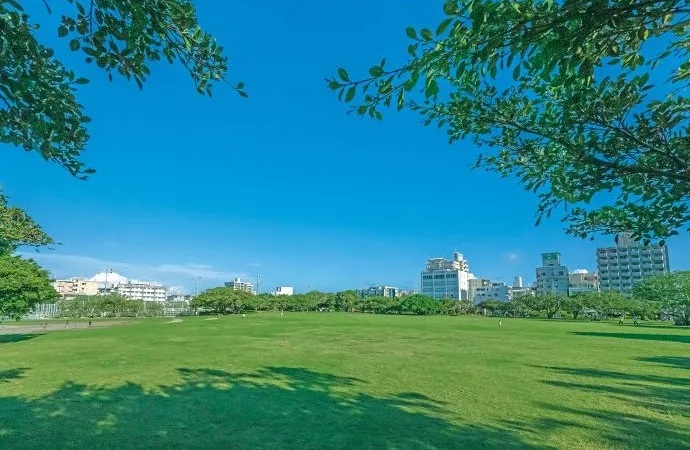 新都心公園 ワイズエステムコート安里駅彩レジデンス