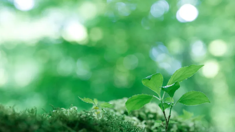 環境にやさしい | ワイズエステムコート The Okinawa 県庁前