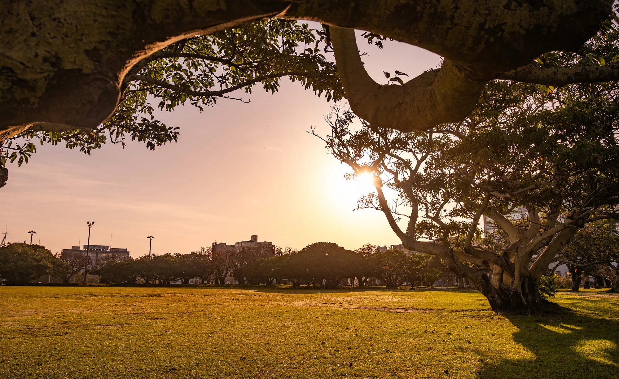 Ｔギャラリア 沖縄 by DFS ワイズエステムコートおもろまちパークプレイス