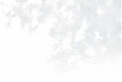 木｜ワイズエステムコートおもろまちパークプレイス