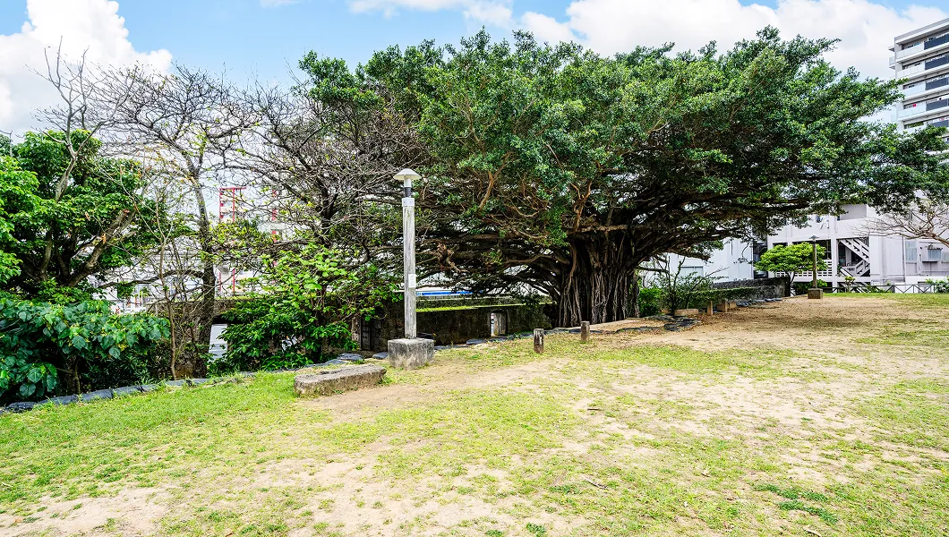 崇元寺公園 ワイズエステムコート那覇泊 BASE